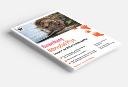 Flyer und Plakat A4, Einweihung Biberpfad, WWF