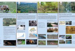 Info-Tafeln WWF, Biberpfad Bodensee/Thurgau