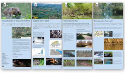 Info-Tafeln WWF, Biberpfad Bodensee/Thurgau